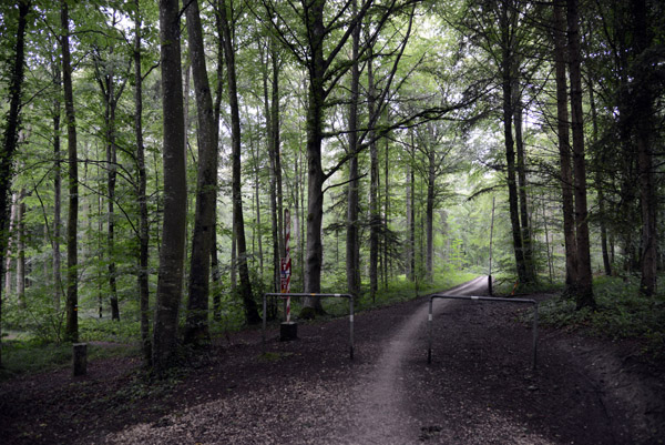 Gailingen Rheinwald, Swiss-German border west of Biebermühle, Switzerland