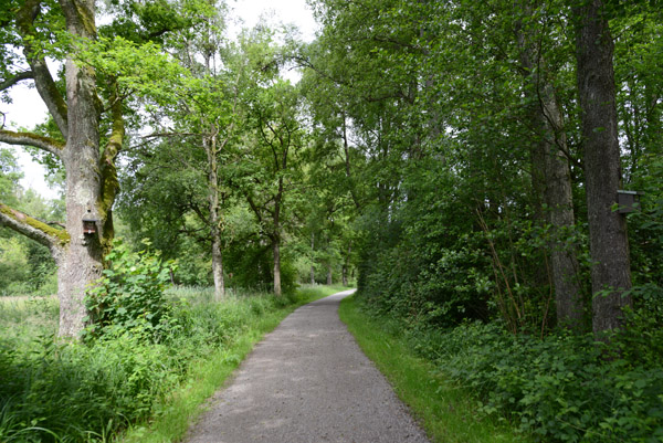 Bodensee Radweg, Eriskircher Ried Nature Park