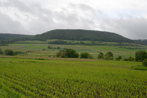 Countryside and a wooded hilltop on the north side of the Danube across from Gutmadingen
