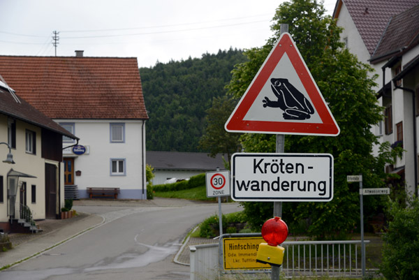 Attention Toads! Krtenwanderung, Hintschingen
