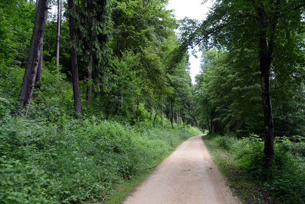 Donauradweg between Mhringen and Tttlingen
