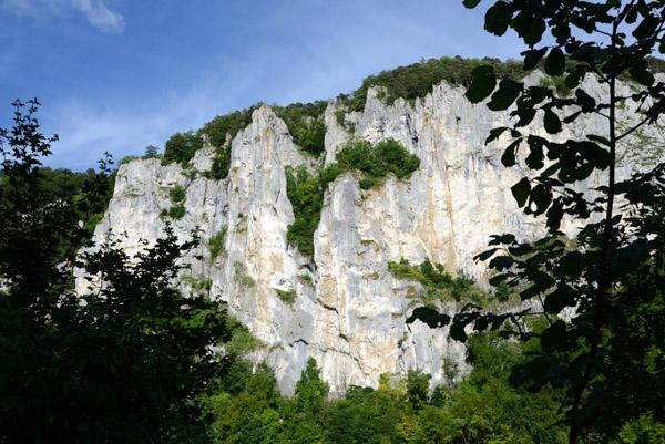 Cliffs of the Upper Danube Valley, Neumhle