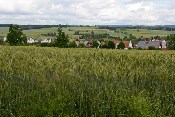 View of the rolling terrain north of Schloss Erbach, Max-Johann-Strae