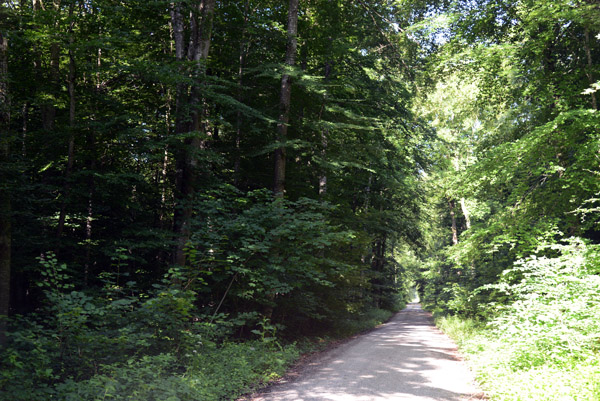 The Donauradweg is great long distance cycling - flat and car-free with lots of good infrastructure