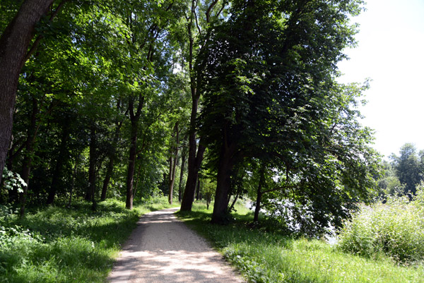 Donauradweg from Lauingen to Dillingen