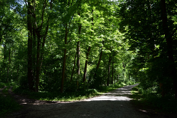 Donauradweg from Lauingen to Dillingen