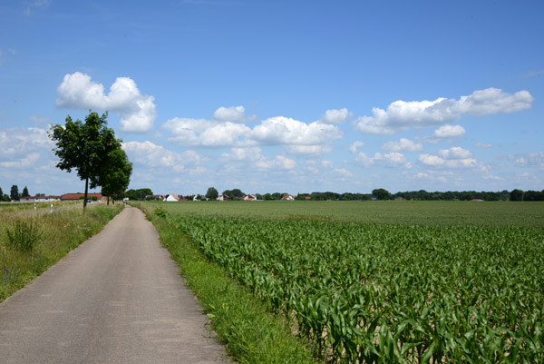 Cycling between Höchstädt and Blindheim