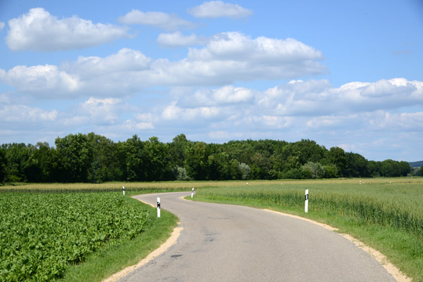 Cycling through the green countryside between Blindheim and Donauwörth