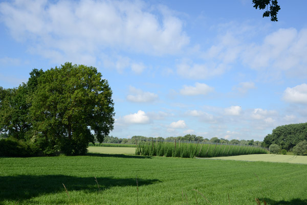 Farmland between Bad Ggging and Kloster Weltenburg