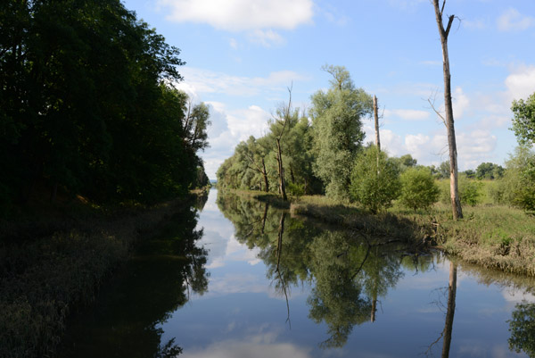Abens River, a right-bank tributary of the Danube