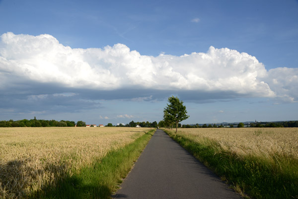 Elberadweg passing through fields approaching Altkaditz on the northwest edge of Dresden