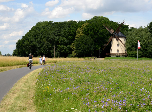 Gohlis Windmill, Elberadweg
