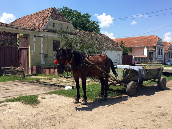 Romania I Jul18 443.jpg