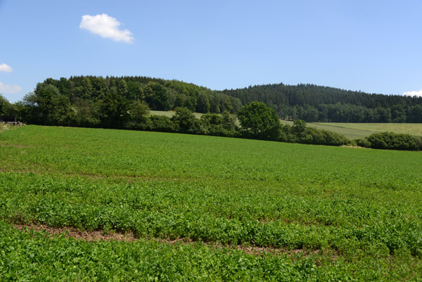 Czech 605.jpg