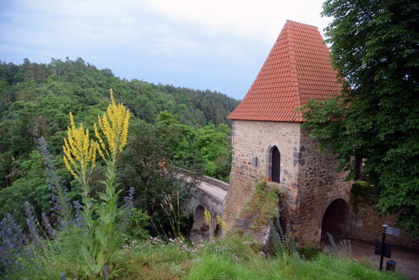 Czech 810.jpg