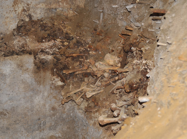 Bones unearthed during excavations beneath the Hospital of Santa Maria della Scala