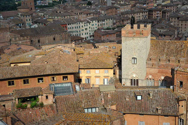 Tower of the Palazzo Chigi-Saracini from the facciatone lookout