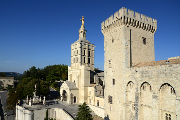 Cathedral of Avignon (Notre-Dame des Doms) with the Tour de la Campane, Palais des Papes