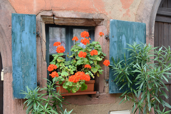 Window with shutters and a flower box, Riquewihr