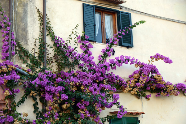 Capoliveri, Elba
