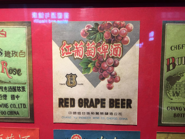 Ningxia Jan17 019.jpg