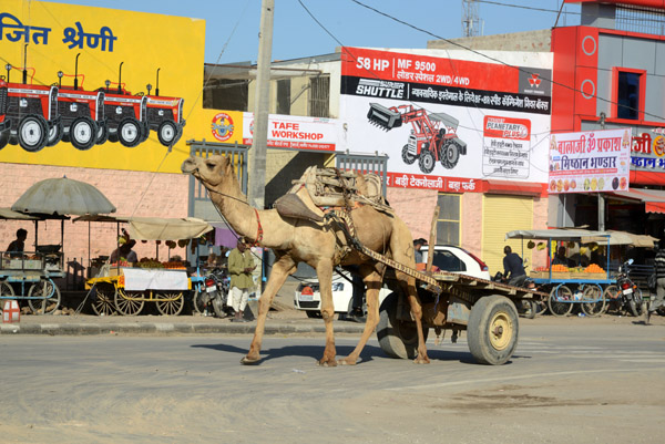 Rajasthan Jan16 0100.jpg