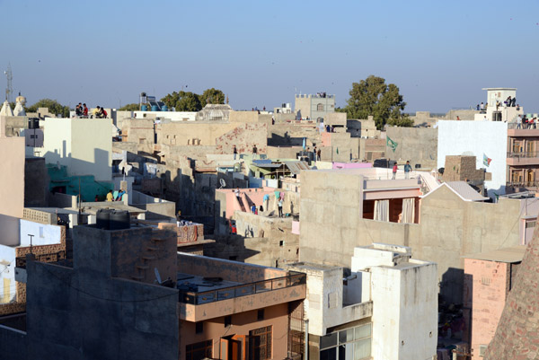 Rajasthan Jan16 0254.jpg