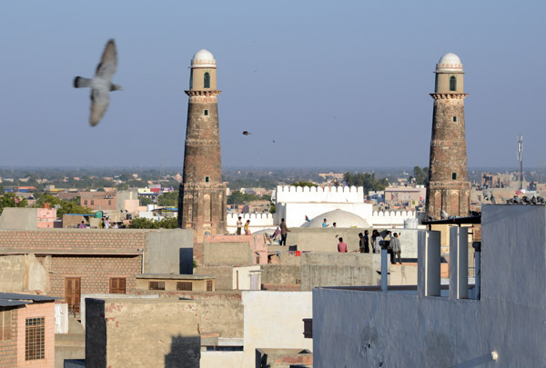 Rajasthan Jan16 0273.jpg