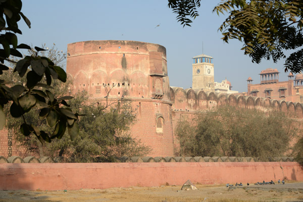 Rajasthan Jan16 0435.jpg