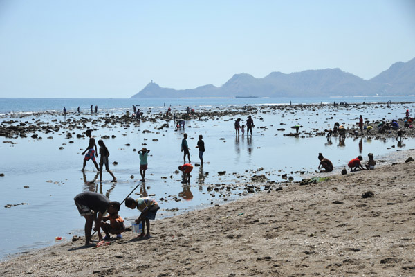 Weekend at Low Tide, the locals turn out to collect fresh seafood
