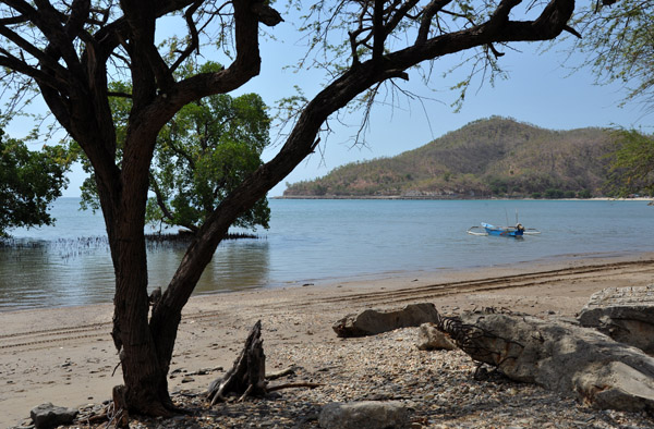 Mangrove Beach