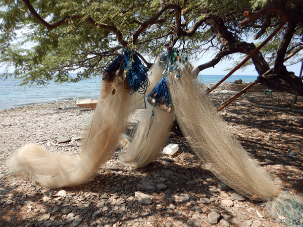 Fishing nets hung out at the km21 dive site, 41 km east of Dili