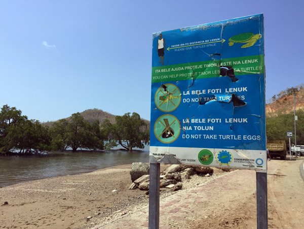 Sea Turtle protection sign at Mangrove Beach