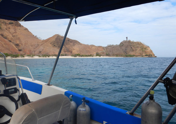 TimorDive Sep18 0152.jpg