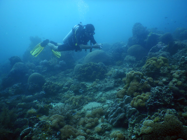 TimorDive Sep18 0163.jpg