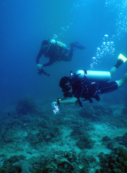 TimorDive Sep18 0251.jpg