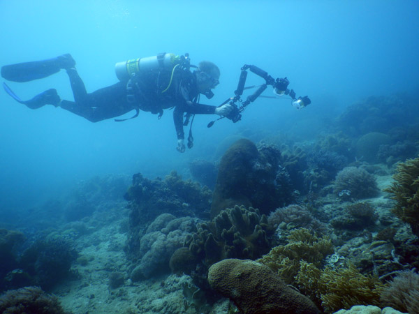 TimorDive Sep18 0280.jpg