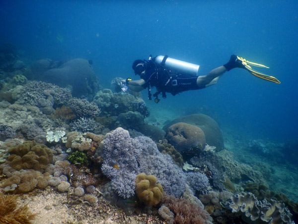 TimorDive Sep18 0296.jpg