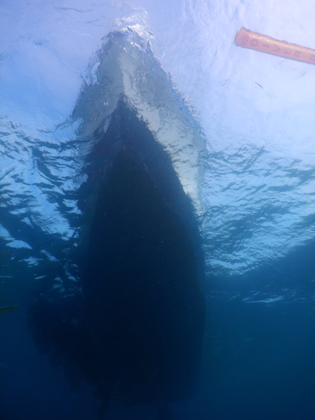 TimorDive Sep18 0369.jpg