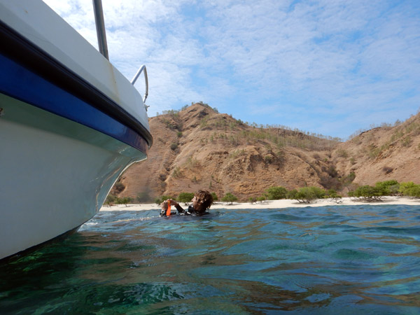 TimorDive Sep18 0380.jpg