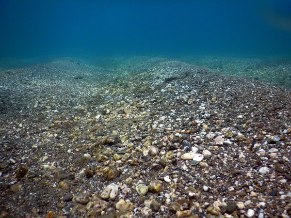 TimorDive Sep18 0643.jpg