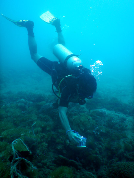 TimorDive Sep18 0759.jpg