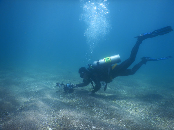 TimorDive Sep18 0806.jpg