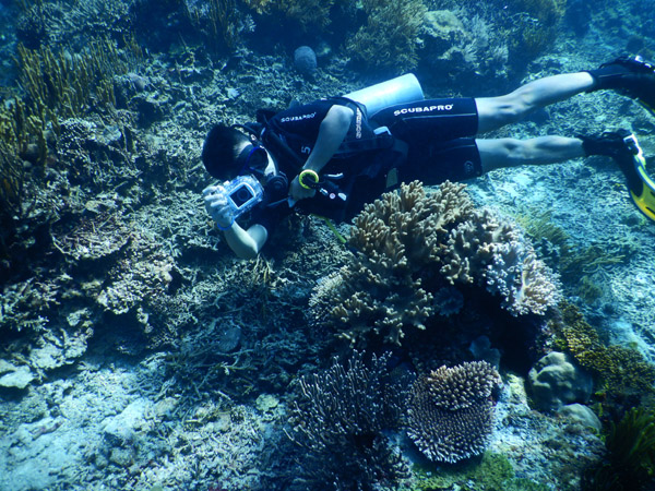 TimorDive Sep18 1615.jpg
