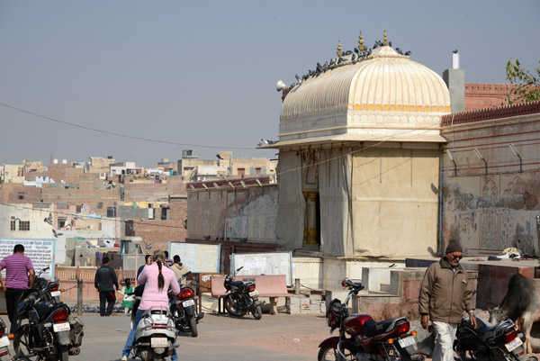 Rajasthan Jan16 0834.jpg