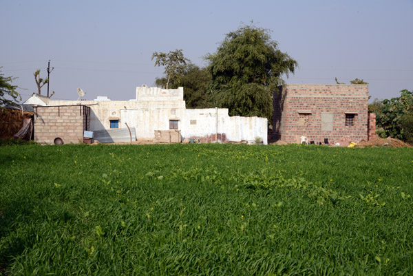 Rajasthan Jan16 2568.jpg
