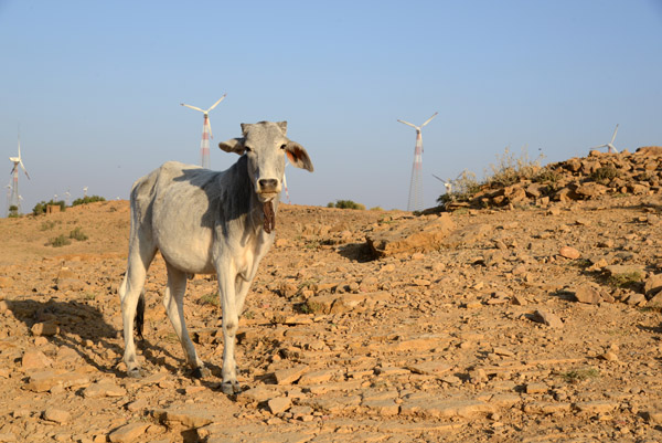 Rajasthan Jan16 1986.jpg