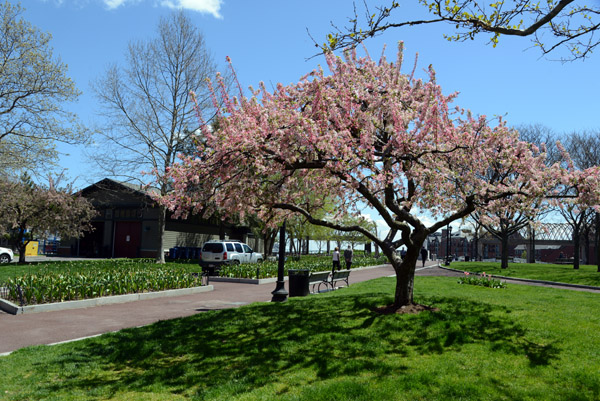 Boston May16 104.jpg