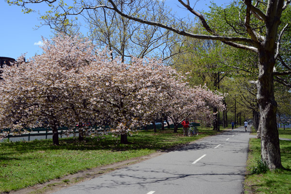 Boston May16 110.jpg