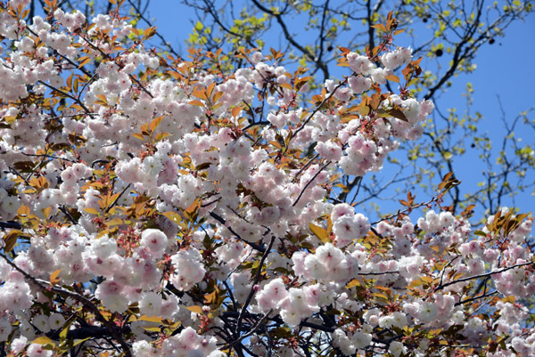 Boston May16 111.jpg